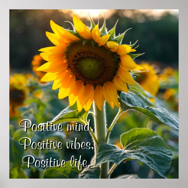 Relaxing Sunflower Picture Personalized Quote Poster (Front)