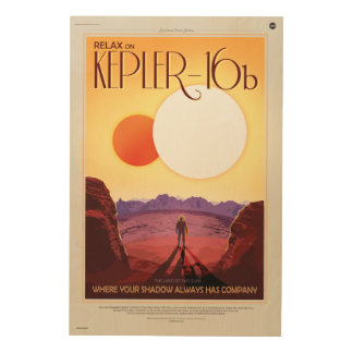 Relaxing vacation on Kepler 16b holiday advert Wood Wall Art