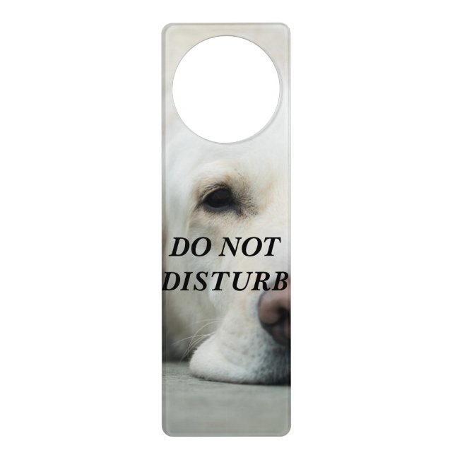 Relaxing White Labrador Door Hanger (Front)