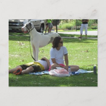 Relaxing With Great Dane Postcard by Rinchen365flower at Zazzle