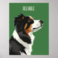 Reliable Australian Shepherd