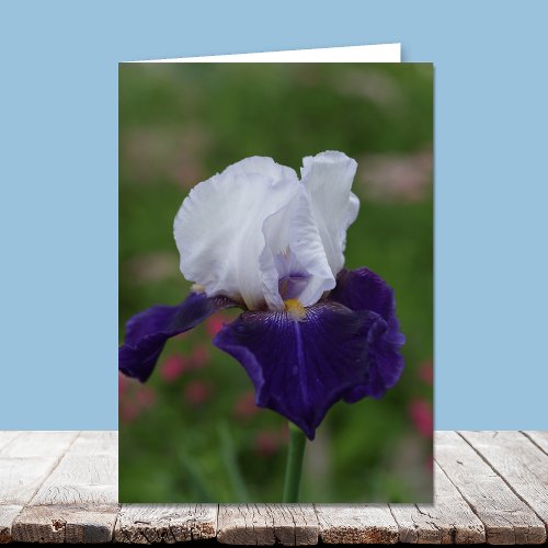 Religious Birthday Cards __ Purple Iris