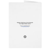 Religious festivities in the Azores (Back)