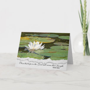 religious sympathy white water lily card