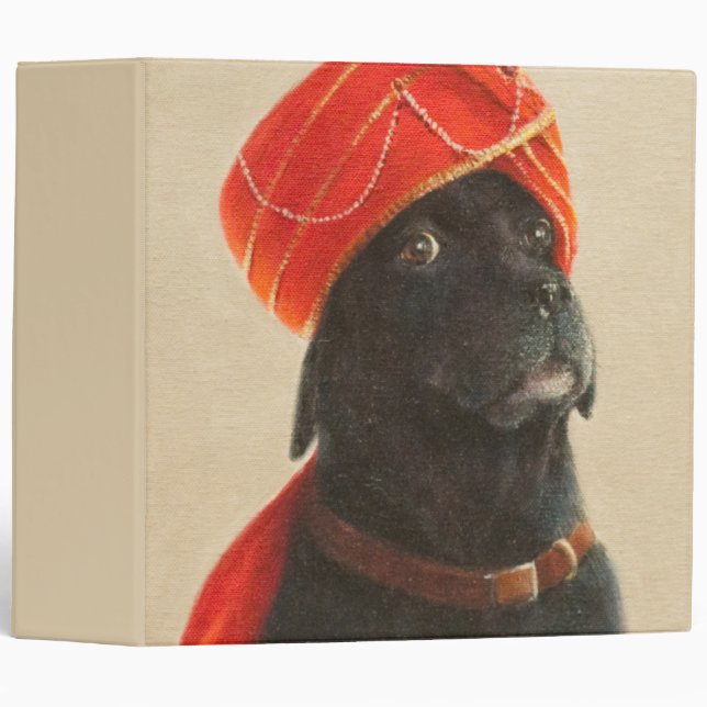 Reluctant Maharaja 2010 Binder (Front/Spine)