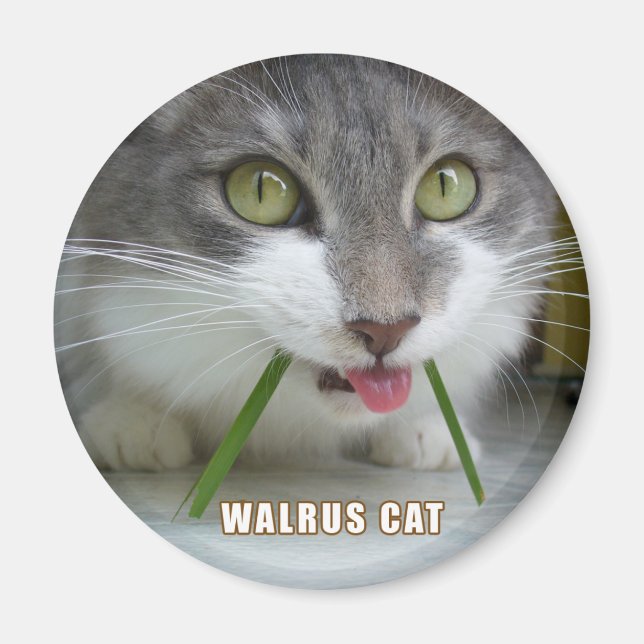 Rema Magnet 011 (Front)