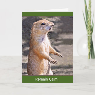 Remain Calm Card