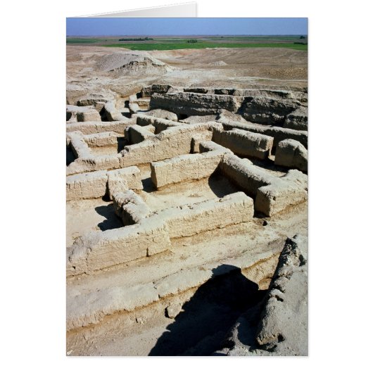 Remains of houses (Front)