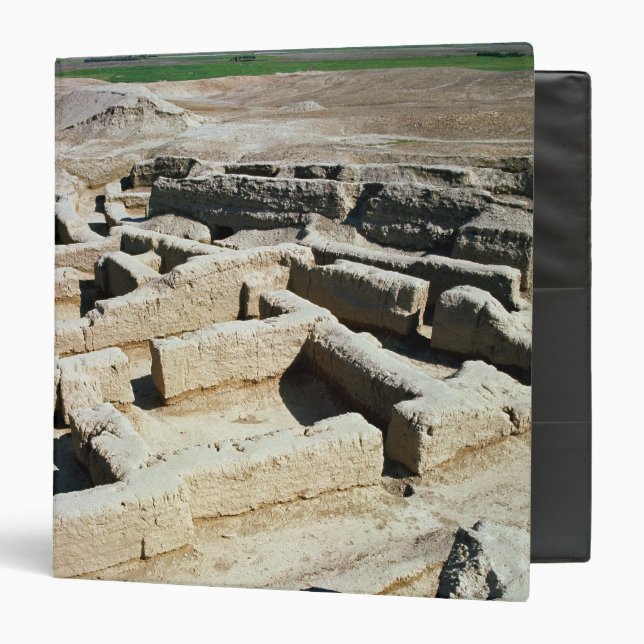 Remains of houses binder (Front/Inside)