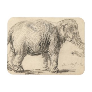 Rembrandt, An elephant, 1637, 17th C. Fine Art  Magnet
