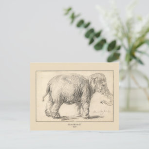 Rembrandt, An elephant, 1637, Fine Art Postcard