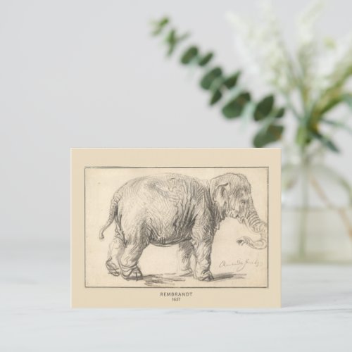 Rembrandt An elephant 1637 Fine Art  Postcard