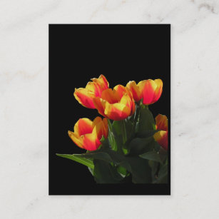 Rembrandt Tulips ATC Photo Card