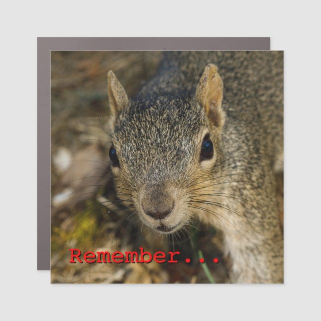 Remember Car Magnet (Front)