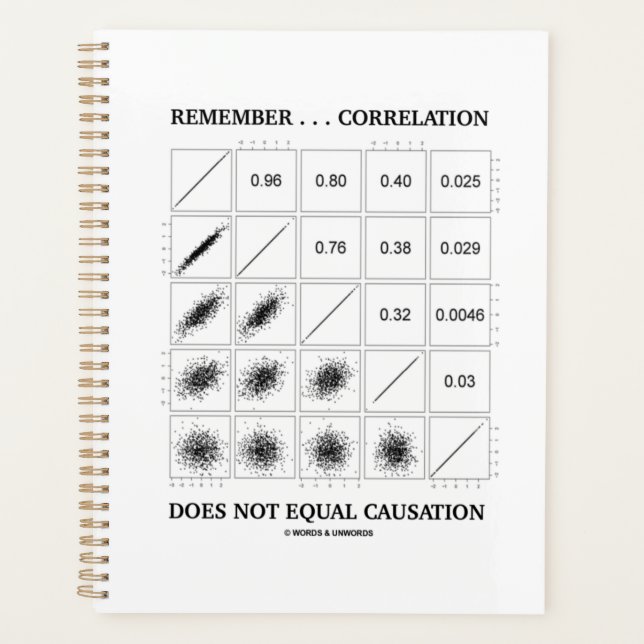 Remember ... Correlation Does Not Equal Causation Planner (Front)