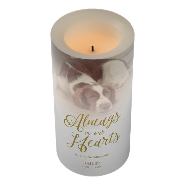 Loving Memory Candle, Pet Remembrance Gift Remember Loved One Pets Loved One Candle Pet Memorial Candle Personalised Pet Loss Candle