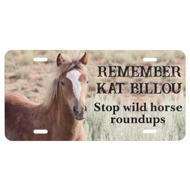 Remember Kat Billou License Plate (Front)