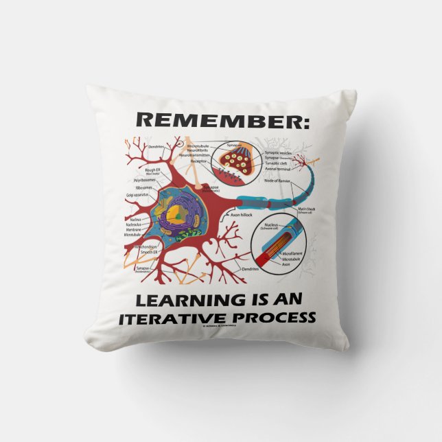 Remember: Learning Is An Iterative Process Synapse Throw Pillow (Front)