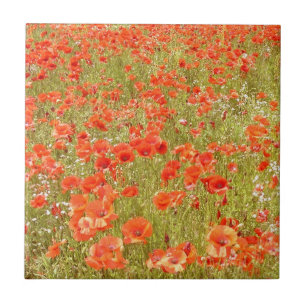 REMEMBER ME TILE