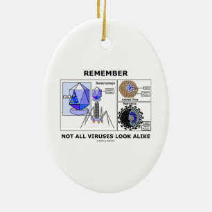 Remember Not All Viruses Look Alike Virology Ceramic Ornament