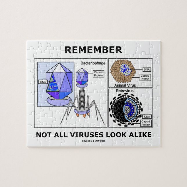 Remember Not All Viruses Look Alike Virology Jigsaw Puzzle (Horizontal)