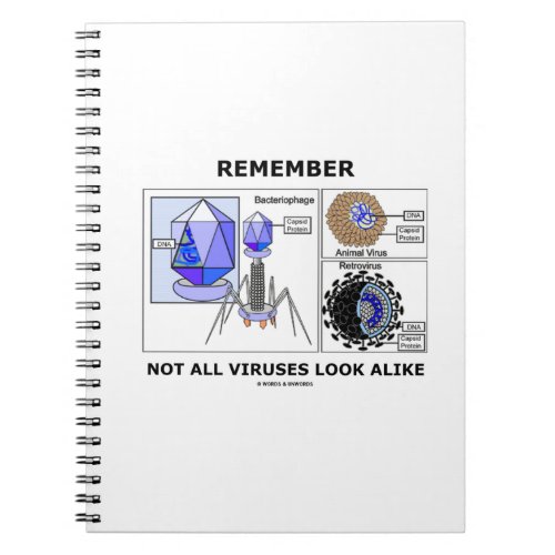 Remember Not All Viruses Look Alike Virology Notebook