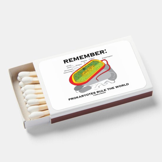 Remember: Prokaryotes Rule The World Microbiology Matchboxes