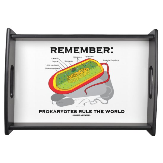 Remember: Prokaryotes Rule The World Microbiology Serving Tray