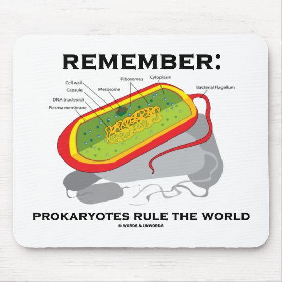Remember: Prokaryotes Rule The World Mouse Pad