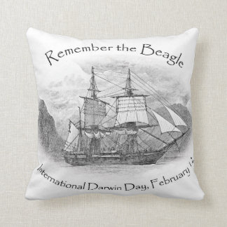 Remember the Beagle Square pillow