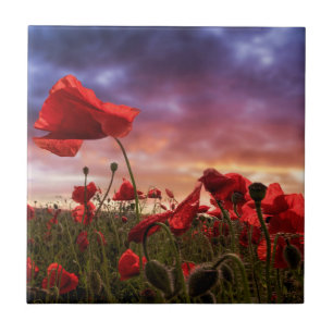 Remembering Field of Poppies Ceramic Tile