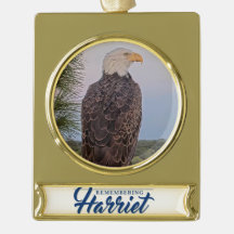 Remembering Harriet Ornament