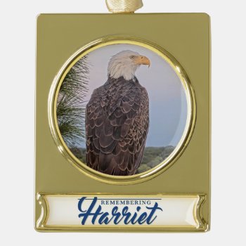 Remembering Harriet Ornament by SWFLEagleCam at Zazzle