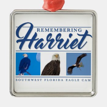 Remembering Harriet Ornament by SWFLEagleCam at Zazzle