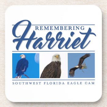 Remembering Harriet Swfl Eagle Cam Coaster Set by SWFLEagleCam at Zazzle