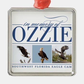 Remembering Ozzie Holiday Ornament by SWFLEagleCam at Zazzle