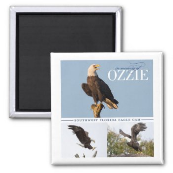 Remembering Ozzie Magnet by SWFLEagleCam at Zazzle