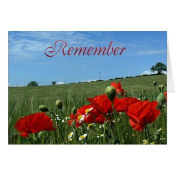 Remembrance Day Poppy Field by moonlake at Zazzle