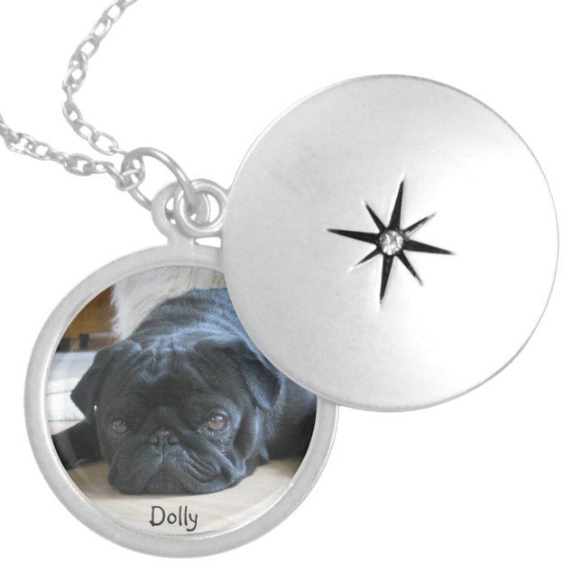Remembrance Pet Photo Pendant Locket - memorial (Front)