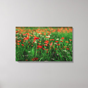 Remembrance (Remembrance Day) Canvas Print