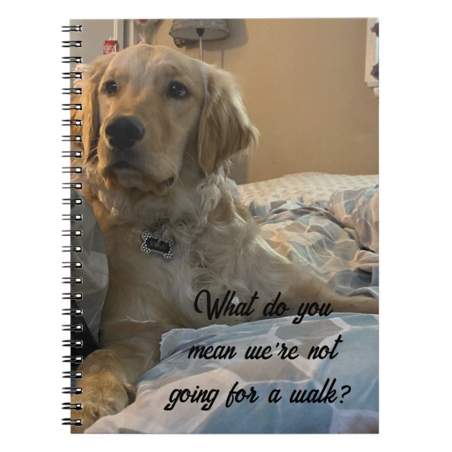 Remi the Golden Retriever Notebook (Front)