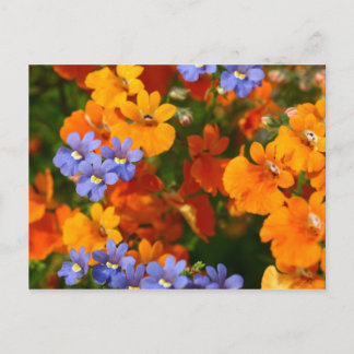 Reminder of Spring Postcard