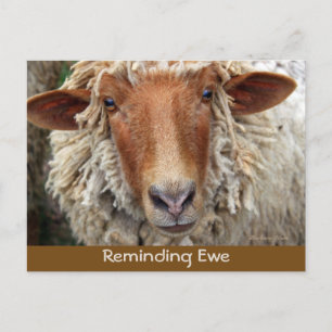 Reminding Ewe: Reminder Cards