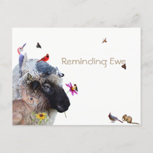 Reminding Ewe: Reminder Cards