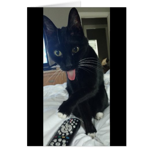 remote for chicken cat cards (Front)