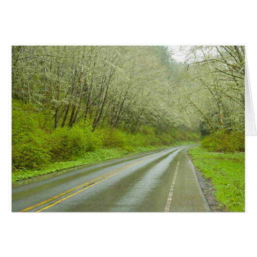 Remote highway through forest cards (Front Horizontal)