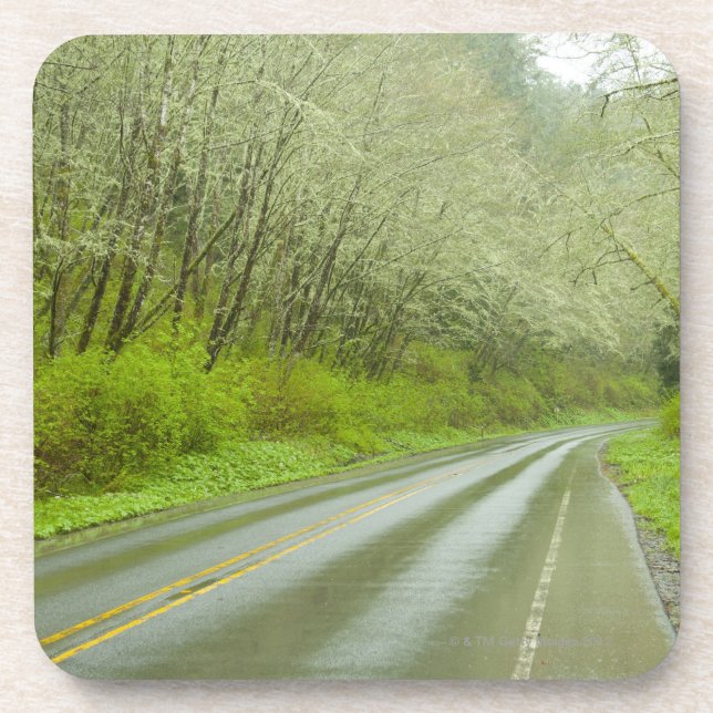 Remote highway through forest drink coaster (Front)
