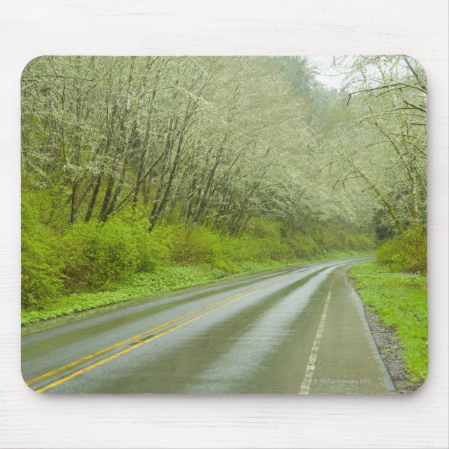 Remote highway through forest mouse pad (Front)