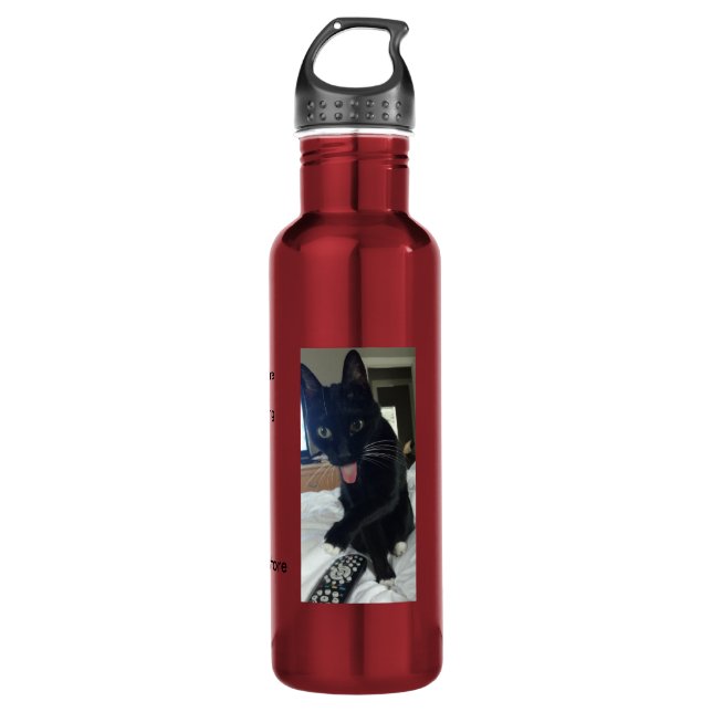 Remote tongue cat funny water bottle red 24 oz (Front)