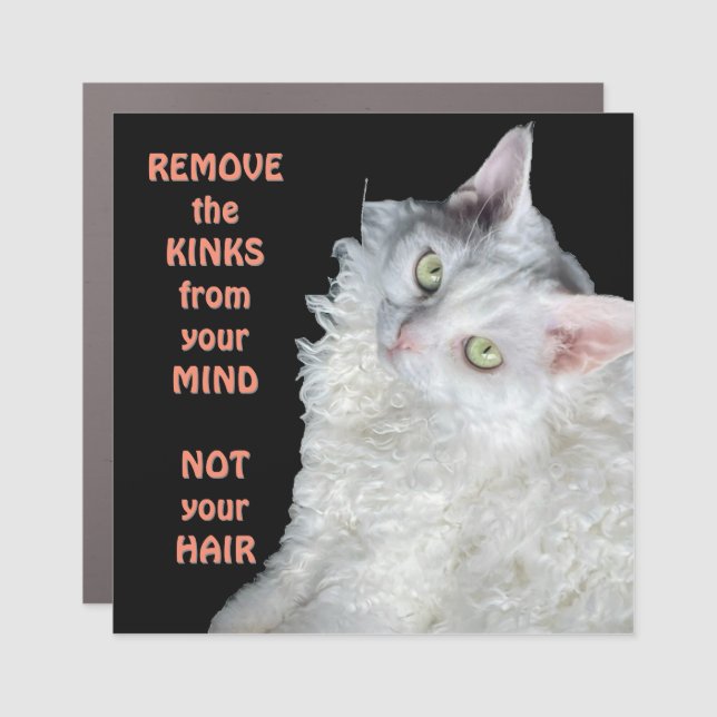 REMOVE the KINKS from your MIND, NOT your HAIR  Car Magnet (Front)
